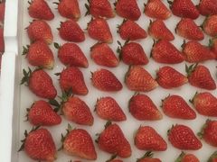 -西郊国际农产品交易中心