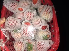 -菜园坝水果市场