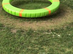 -DBSWIM深呼吸国际游泳培训(建国宾馆店)