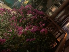 -三亚亚龙湾雅高美爵酒店