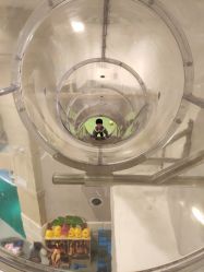 -meland亲子乐园·派对·研学(淄博万象汇店)