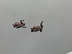 -莹珠阁·私房菜