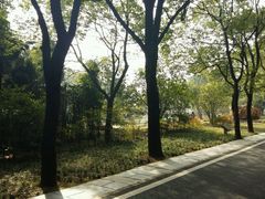 -东湖落雁景区