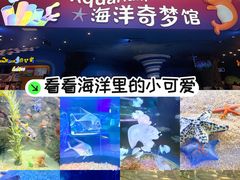 -欢乐海岸海洋奇梦馆