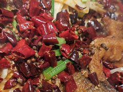 -老板恋上鱼(恒隆广场店)