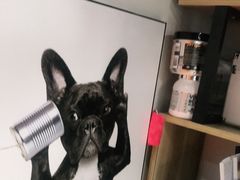 -BD健身私教工作室(CBD店)