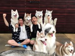 -TrueLove @ Neverland (Husky Cafe)