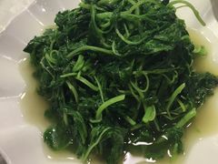 -阿英煲(凉城路店)