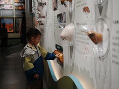 -国家自然博物馆