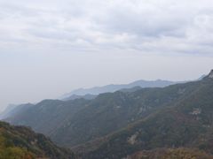 -回味南塘老王虾尾(总店)