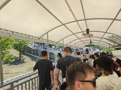 -西霞口神雕山野生动物世界