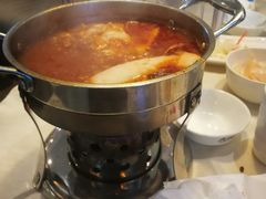 -大胖骨汤火锅(裕华店)