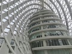 -凤凰中心