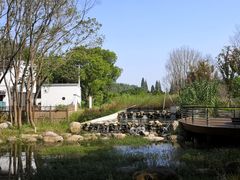 -同里国家湿地公园