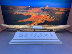-巴音郭楞蒙古自治州博物馆