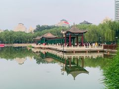 -莲花池公园