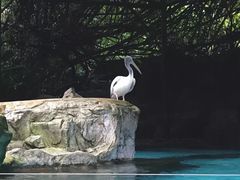-河川生态园