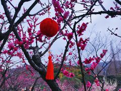 -无锡梅园公园