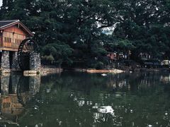 -福建土楼(南靖)景区