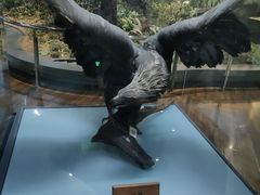 -陕西自然博物馆