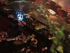 -川道拐耗儿鱼(置信路店)