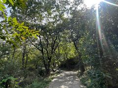 -虞山风景区