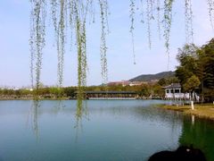 横山水库-横山水库