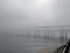 -星海湾跨海大桥