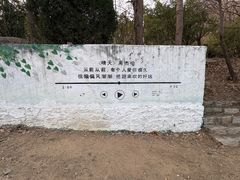 -沂蒙山旅游区云蒙景区(蒙山国家森林公园)