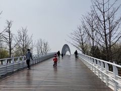 -大兴滨河森林公园