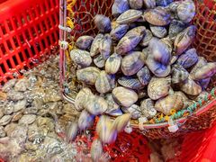 -巽寮印象美食部落餐厅·海鲜·地方特色菜(惠州体验店)