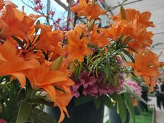 -上海鲜花港