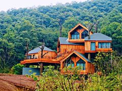 -杭州开元森泊度假乐园