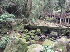 吊罗山国家森林公园-海南热带雨林国家公园吊罗山景区