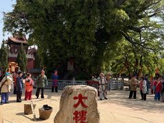 -大槐树寻根祭祖园