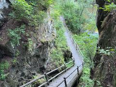 -茅兰沟国家森林公园
