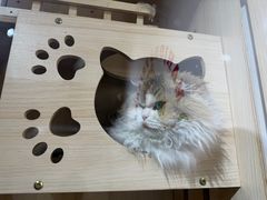 -麻友记·24h自助棋牌(金融科贸店)
