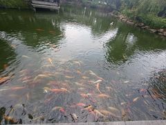 -中山詹园