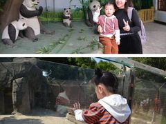 -南昌动物园