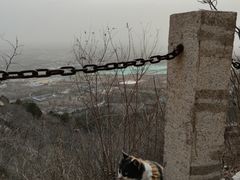 -北京凤凰岭