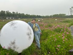 -秦文明广场