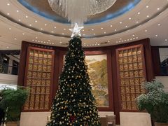 -上海圣淘沙万怡酒店
