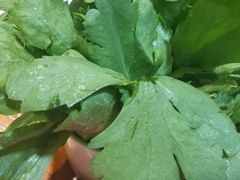 -京城涮爆舫(角门西店)