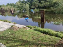 -长田漾湿地公园