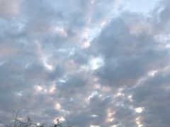 -黄龙溪欢乐田园