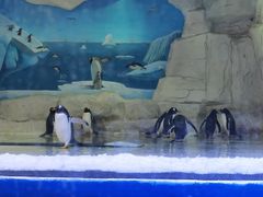 -华夏文旅海洋公园