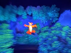 -小镇影院迪士尼小熊Duffy与他的朋友合影地