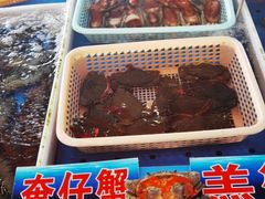 -南沙十九涌渔人码头-南门