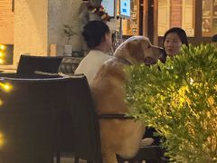 -Shanghai Brew House上海啤酒工坊(老外街店)