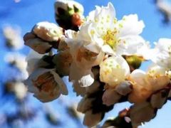 -汉中石门栈道景区